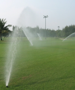Sân Golf Nam Sài Gòn 1