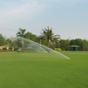 Sân Golf Nam Sài Gòn 3