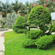 Villa Anh Trịnh 2
