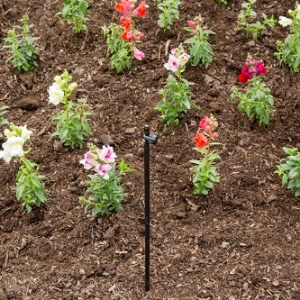 RIGID RISERS Dripline – Tưới tự động, tưới nhỏ giọt